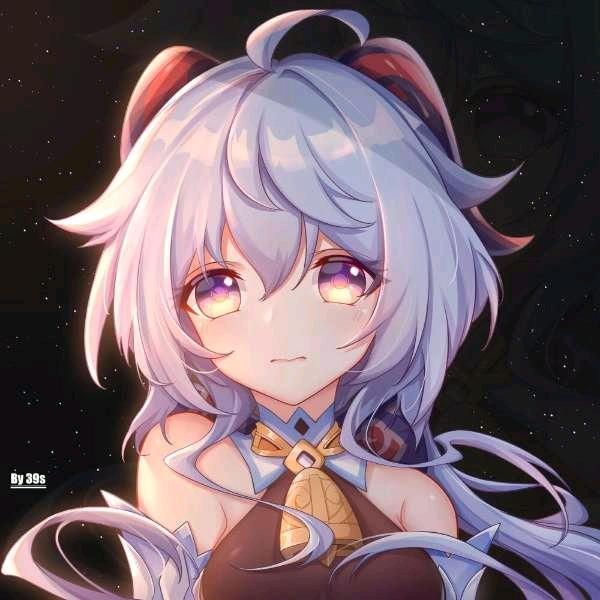 星辰龟