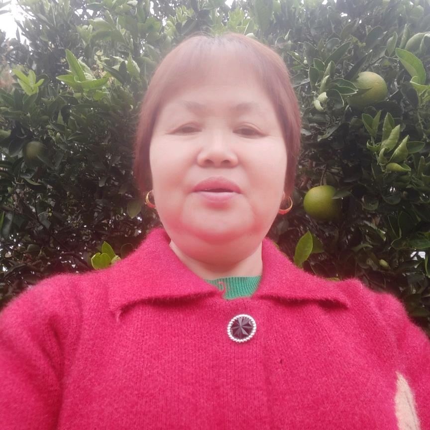 桂花姐（感恩遇见，不定时开播）
