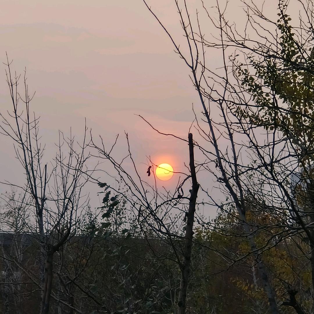 呵呵呵呵呵呵呵呵