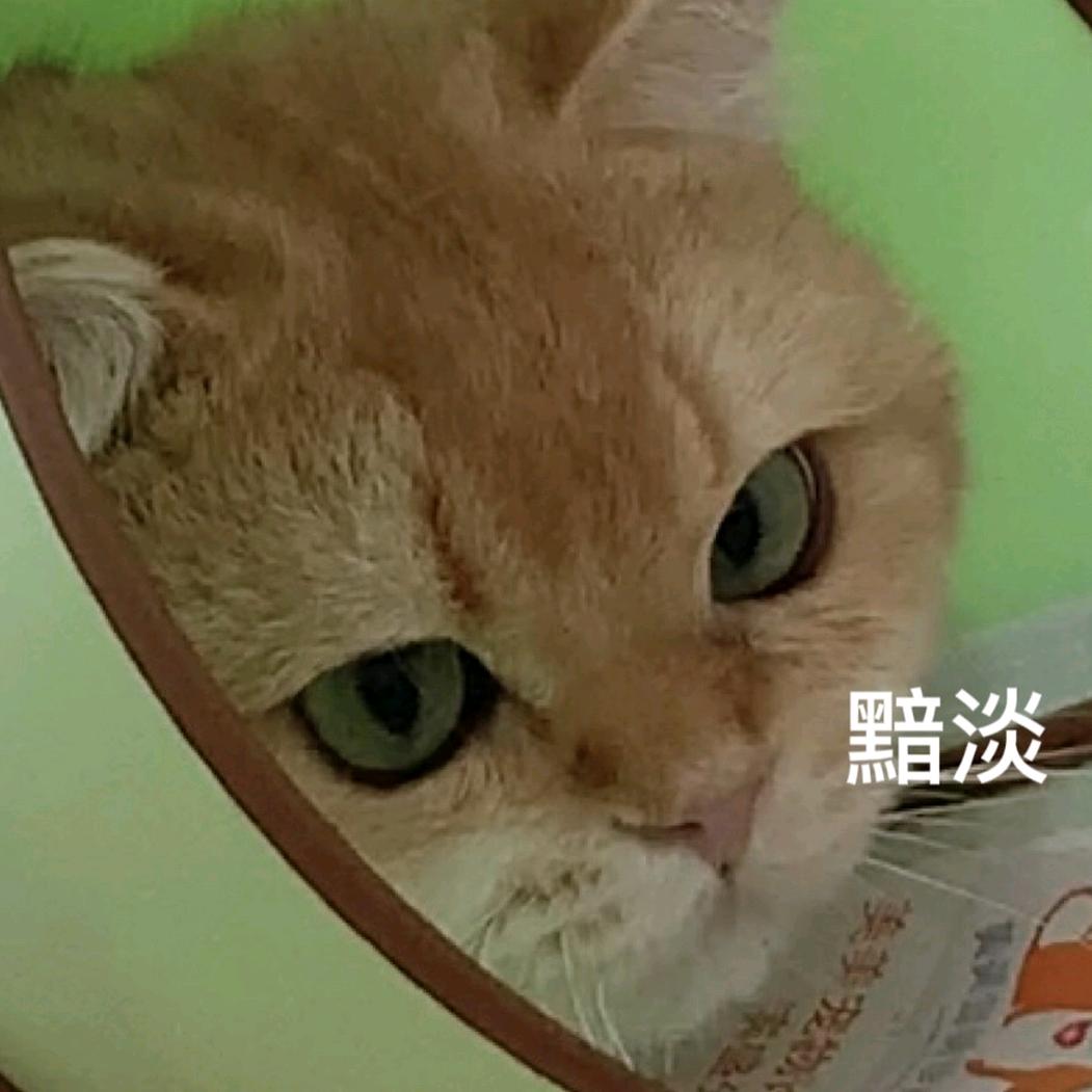 乖丫头