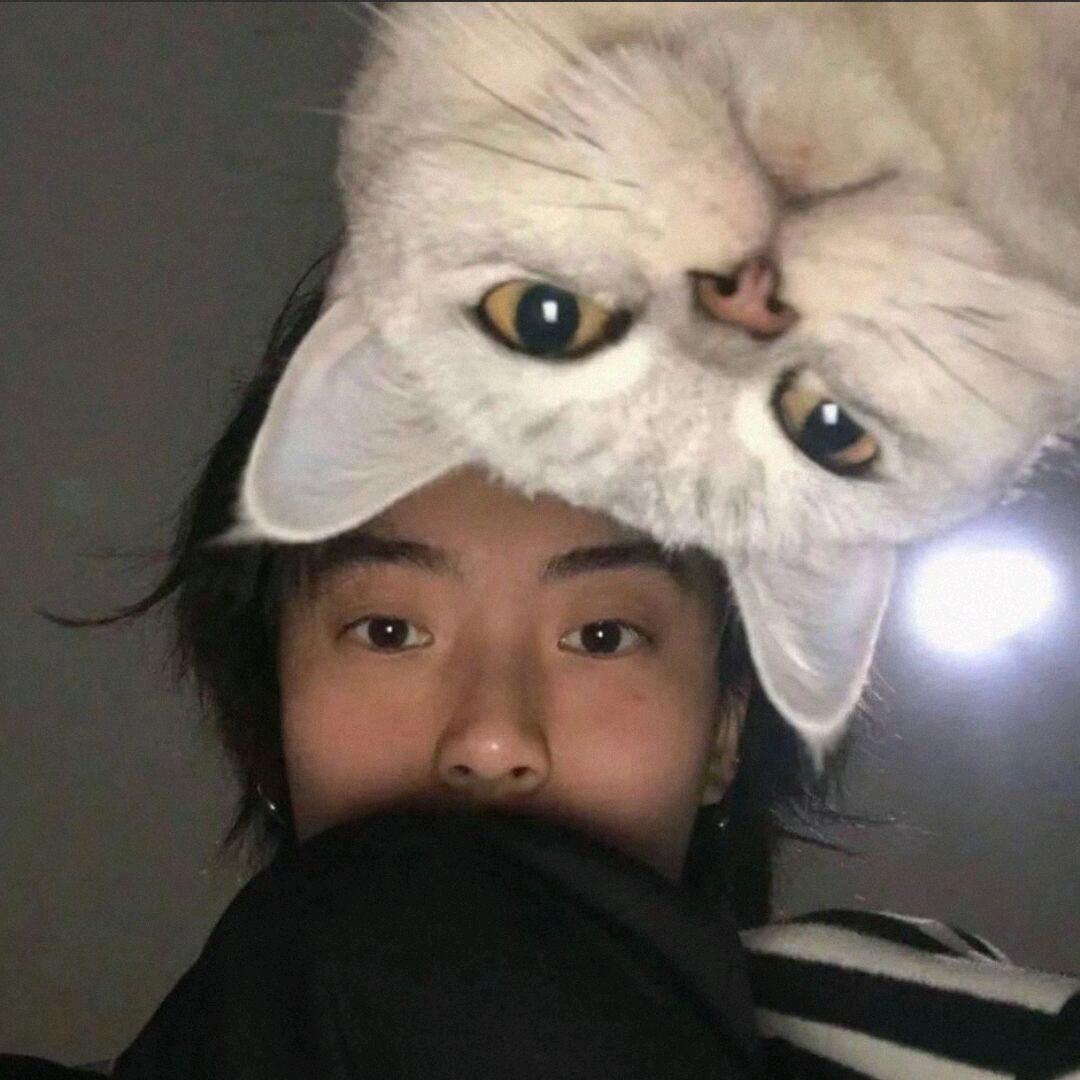 ㅤ   ㅤ