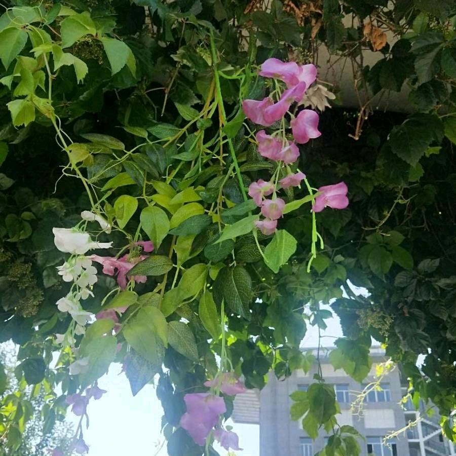 赤峰市家合万事兴