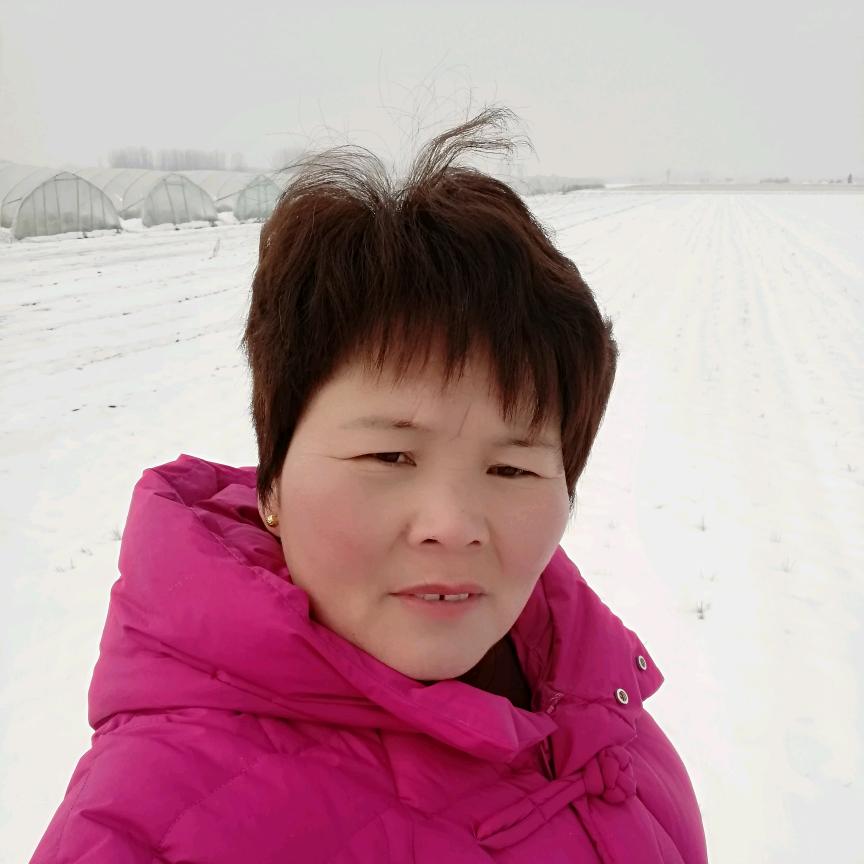 侠姐