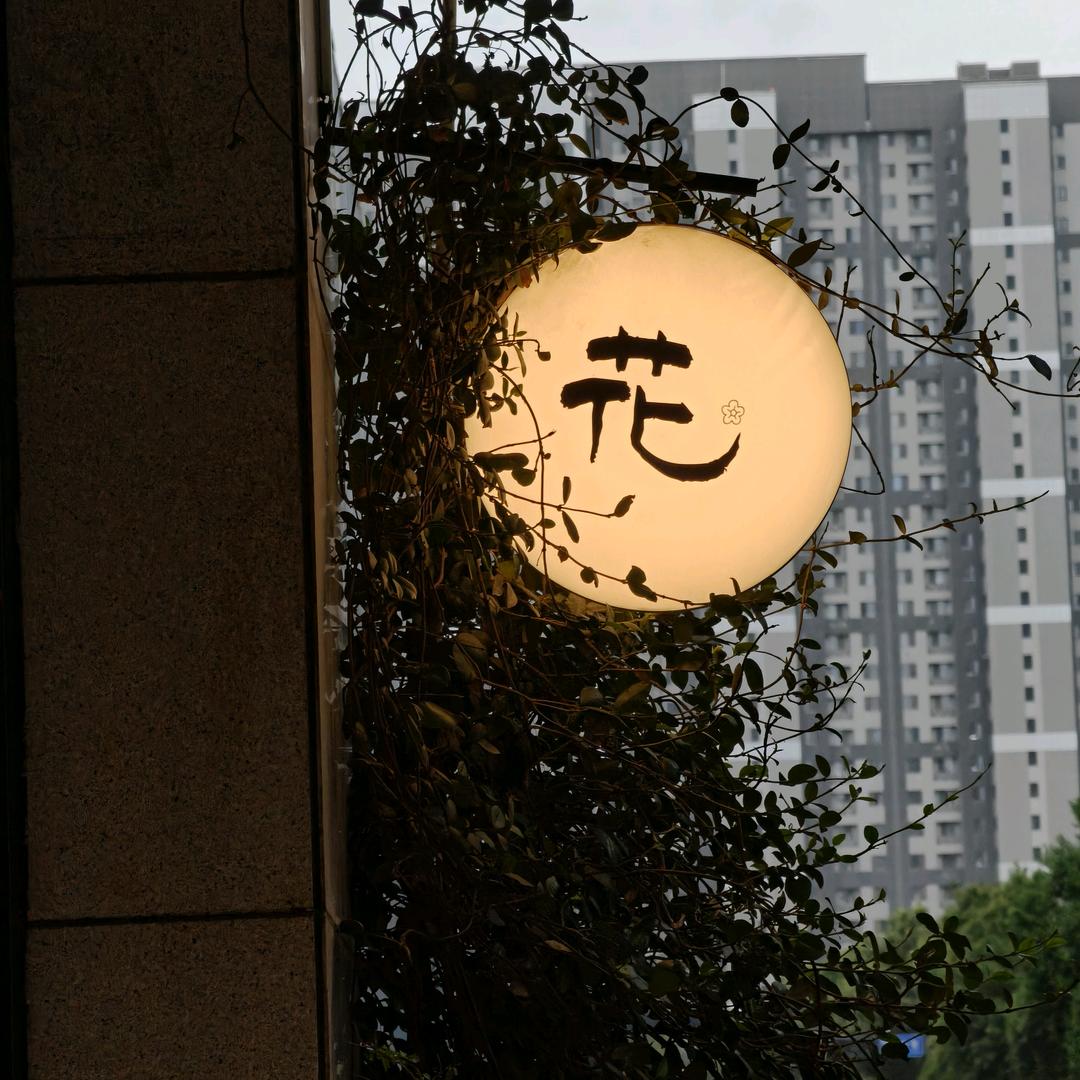 用户