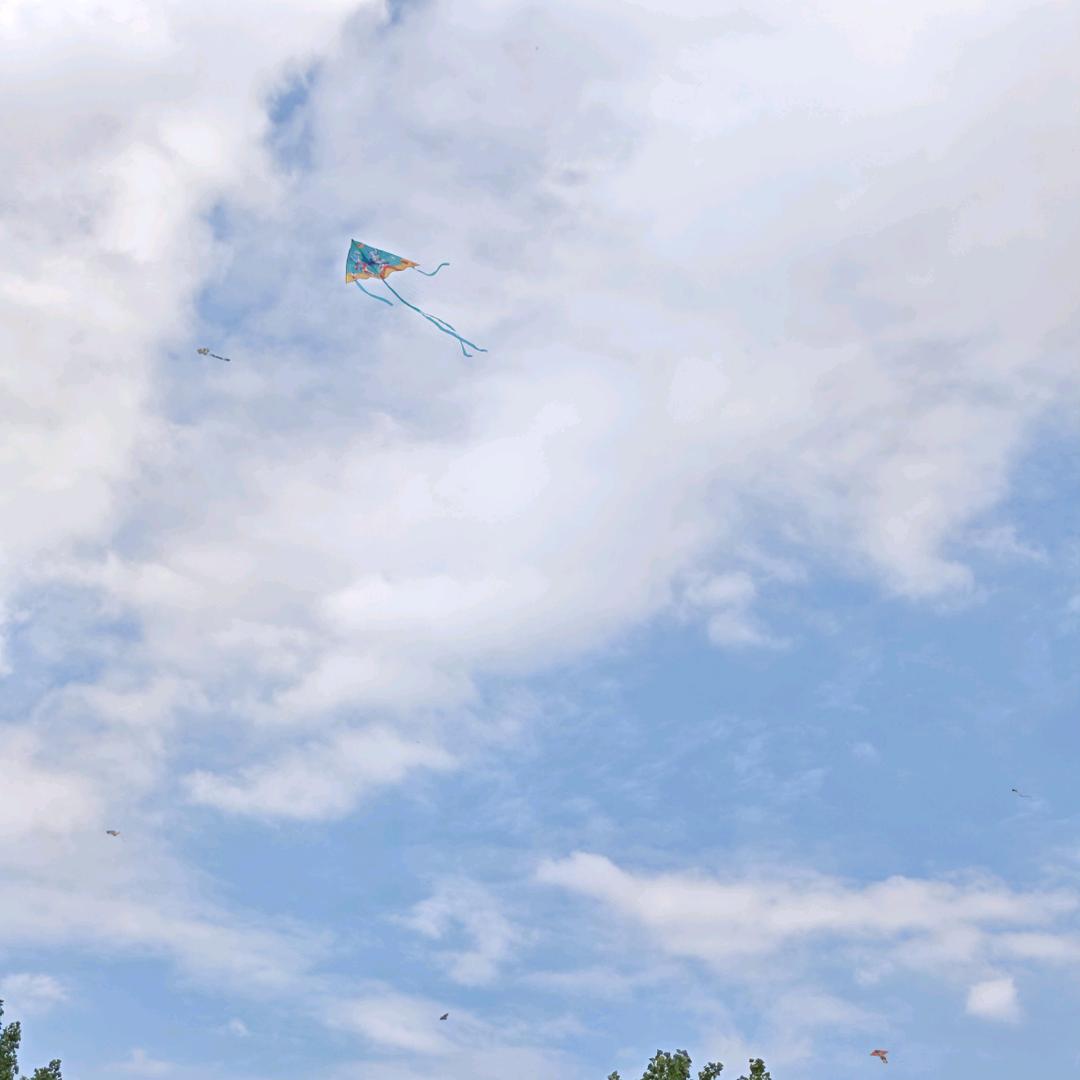 月月的传媒公司日记