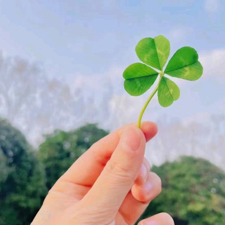 安吉尔中南苏宁净水顾问