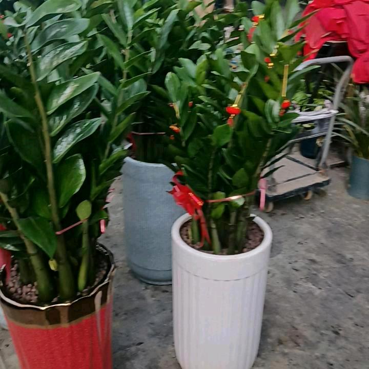 我伤心难过