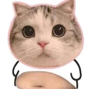 天拂仙