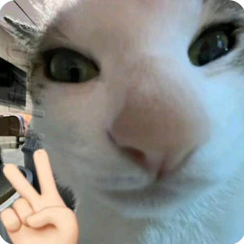 最受欢迎男歌手