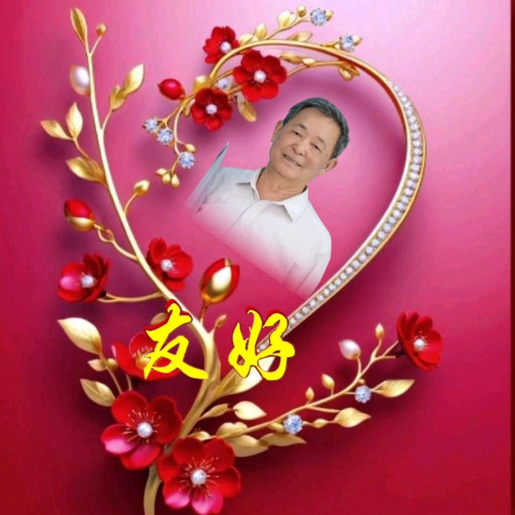 友好