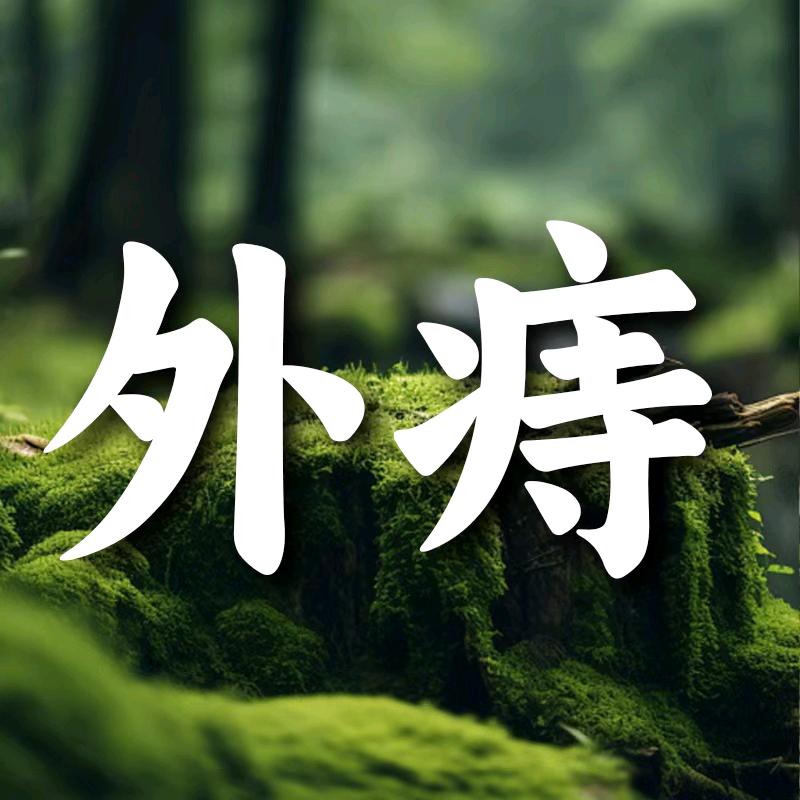 这有好物甄选菊花