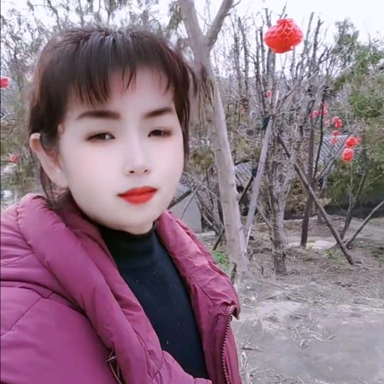 杨三姐