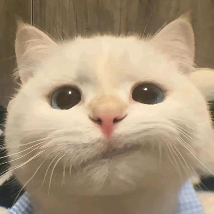 离苳