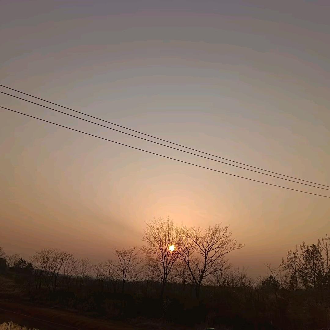 沧海泪