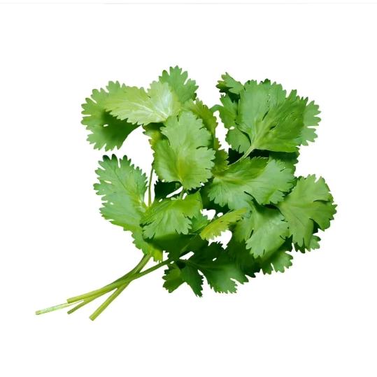 香菜严选好物