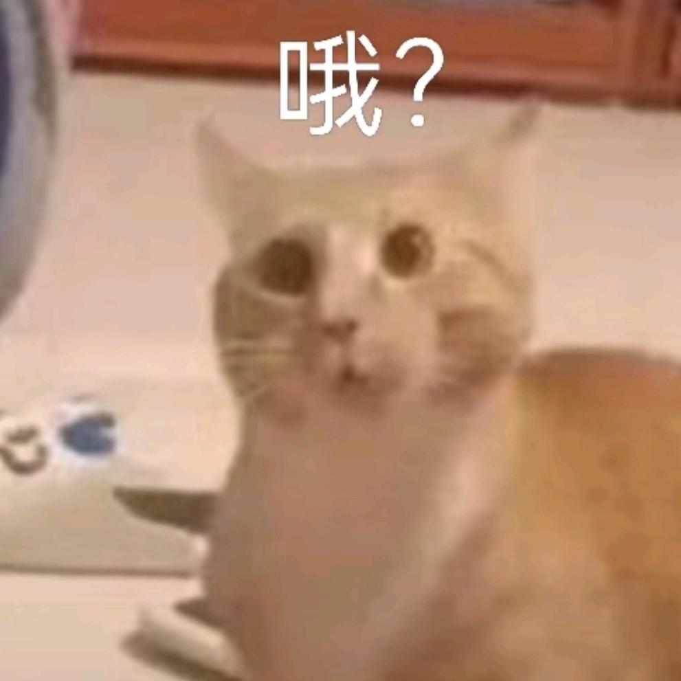 🌈九月叶