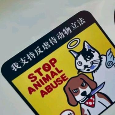 小王（喂养流浪动物）