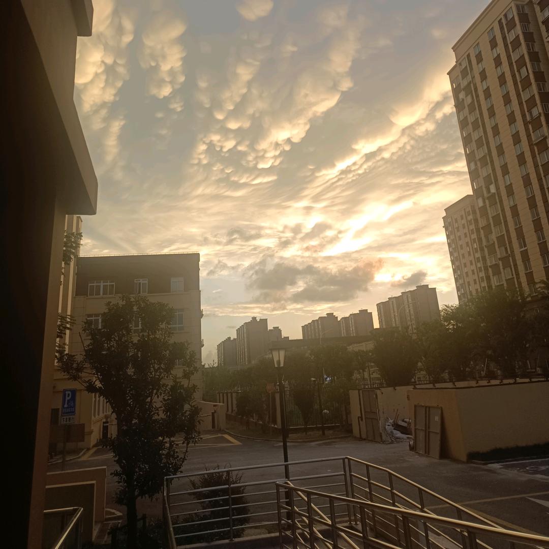 渡&