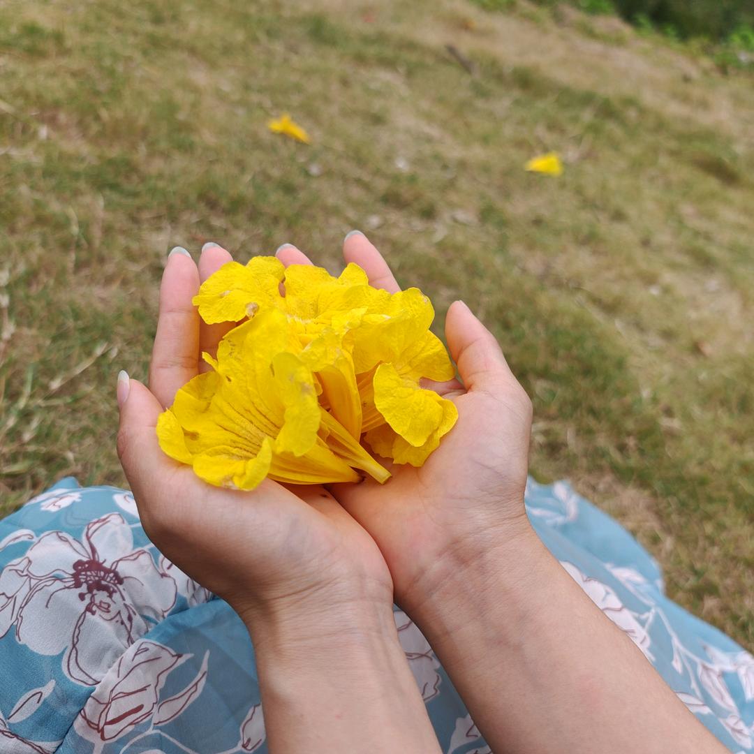 知新安全技术服务有限公司（灵山分公司）