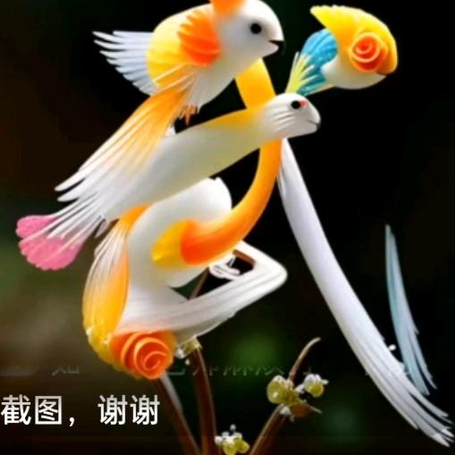 快乐老武