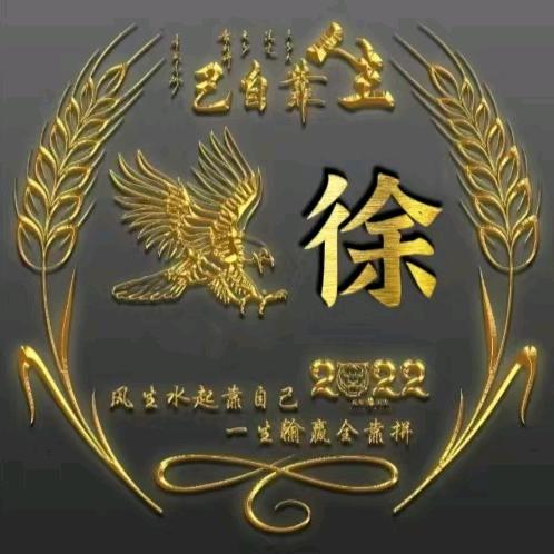 龙游江湖