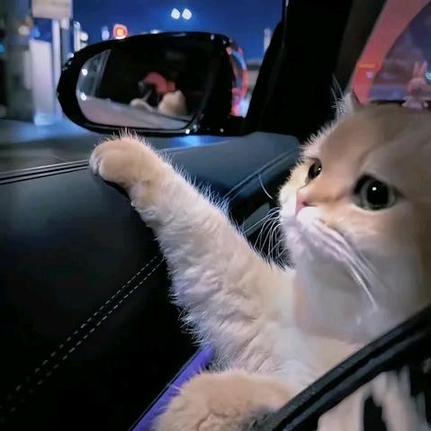 阿杰