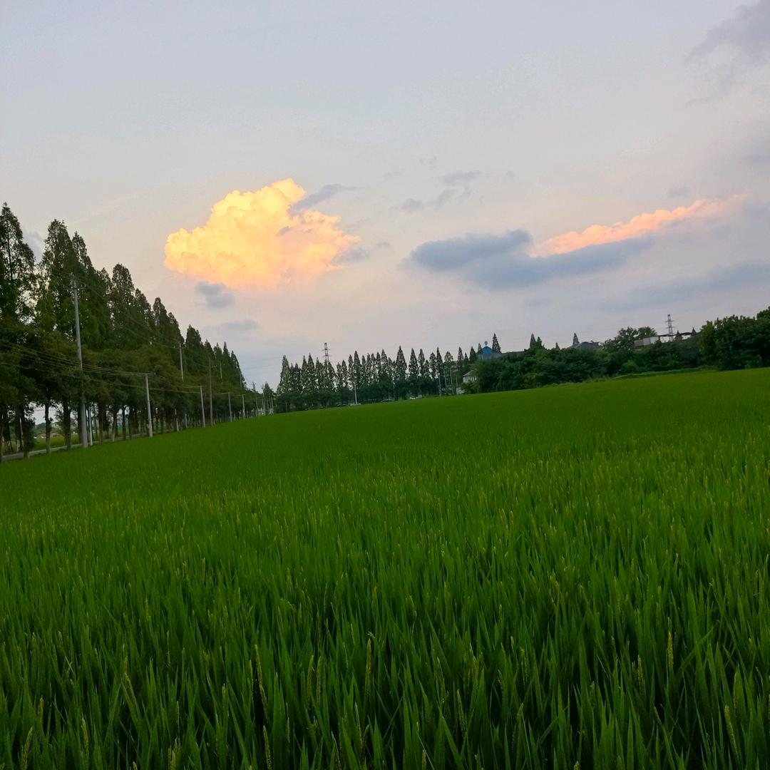 大宝贝