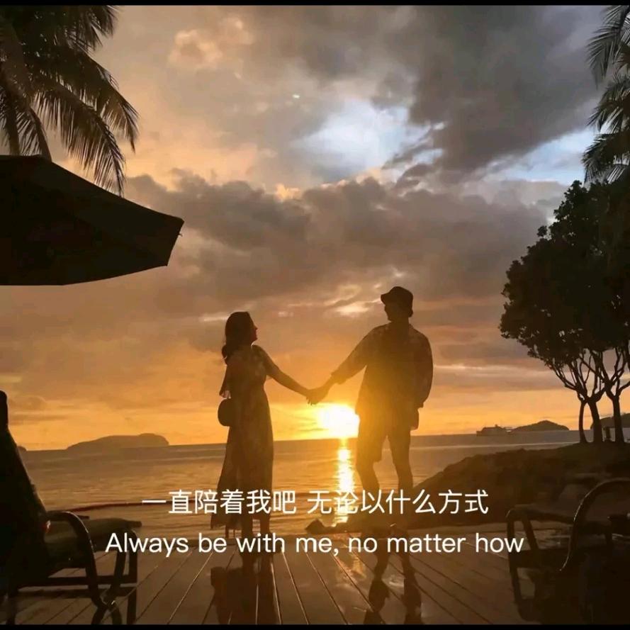一颗大树