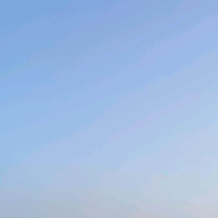 心没了