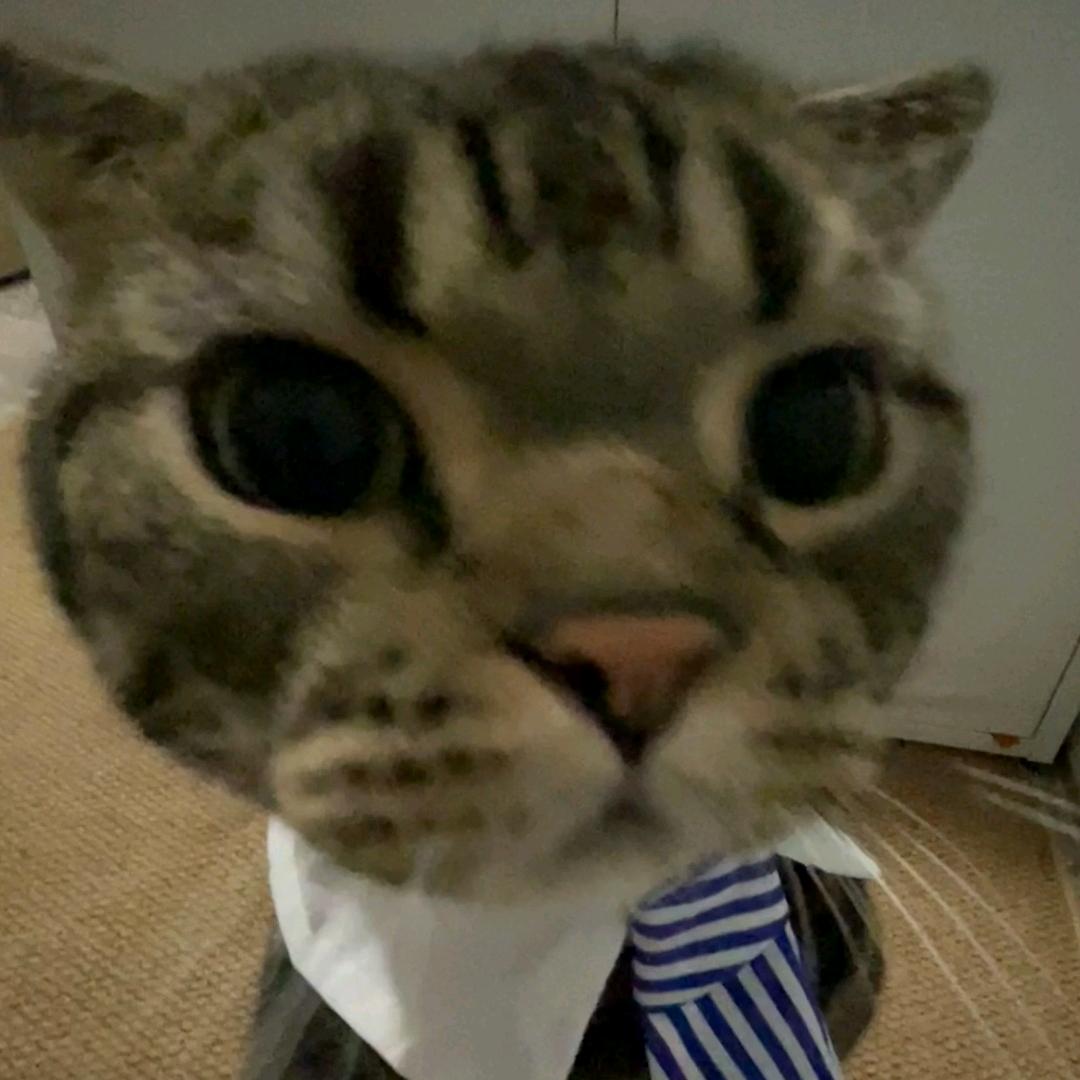 bebe