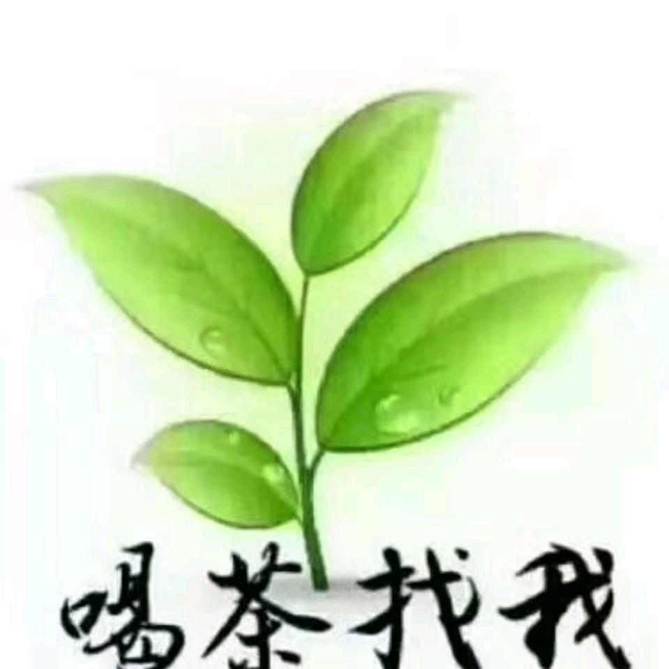 回忆吹过的夏天