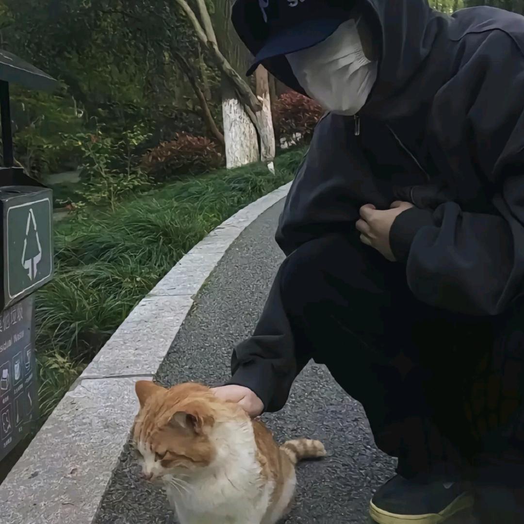 骑着苍蝇找蚊子.