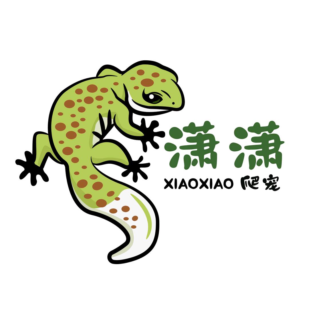 潇潇爬宠