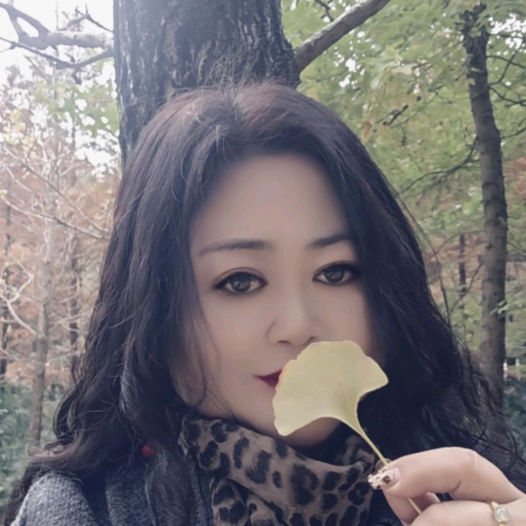 摩尔登窗帘*指纹锁依蔓