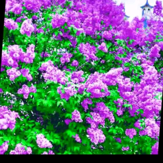 有缘千里来相会