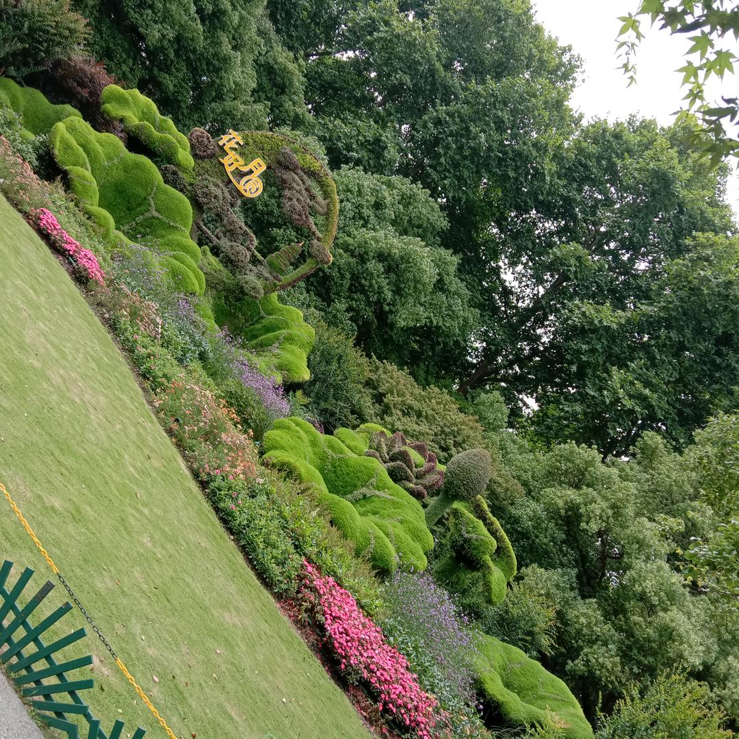 我用一生去守护你