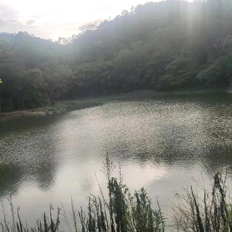 小海娃娃