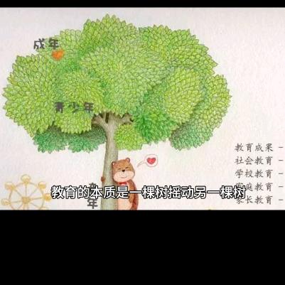 @教育分享的小陌