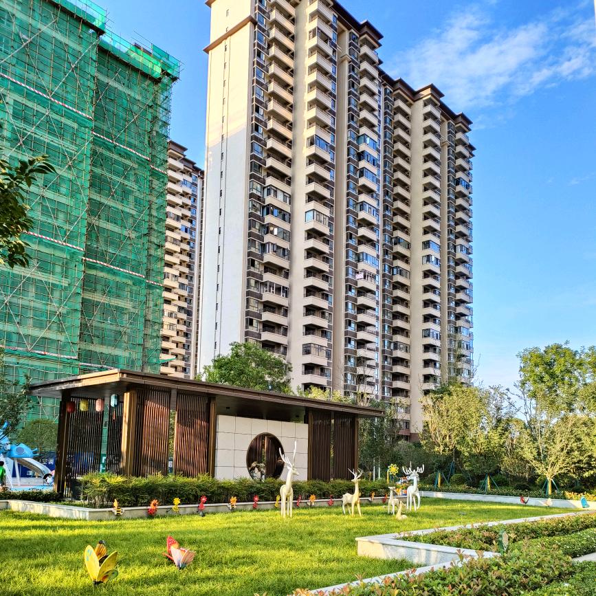 梅花香自苦寒来