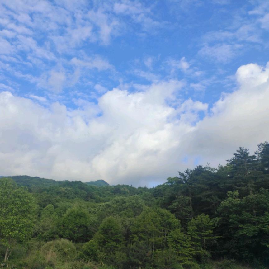 勇往直前