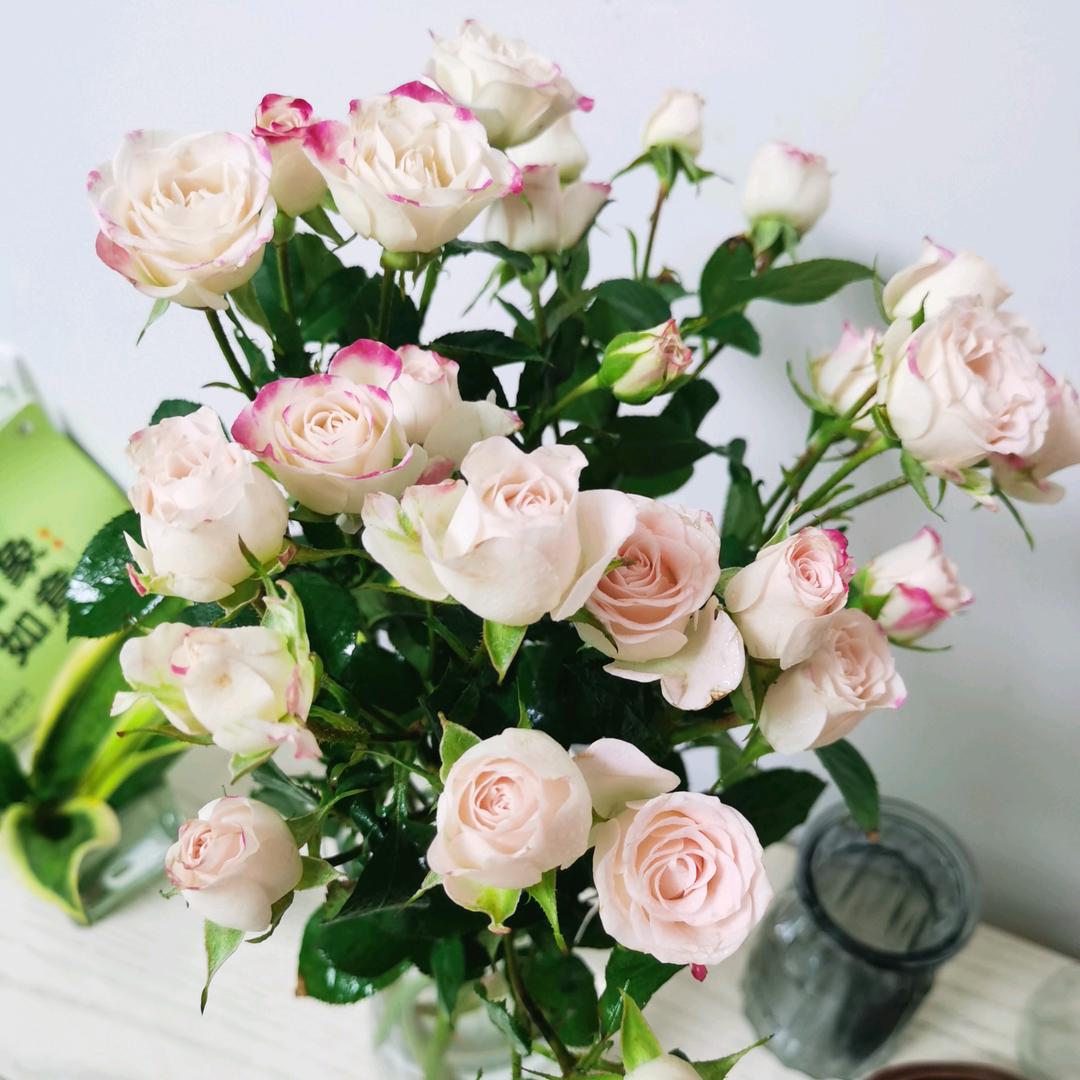 四夕妈（摆摊+带娃）