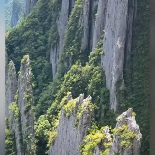 明月心