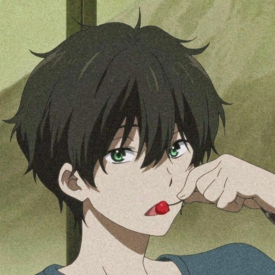 我的职业叫顾问