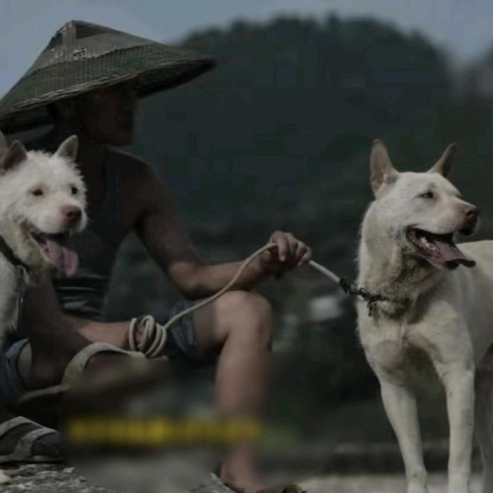 @民俗