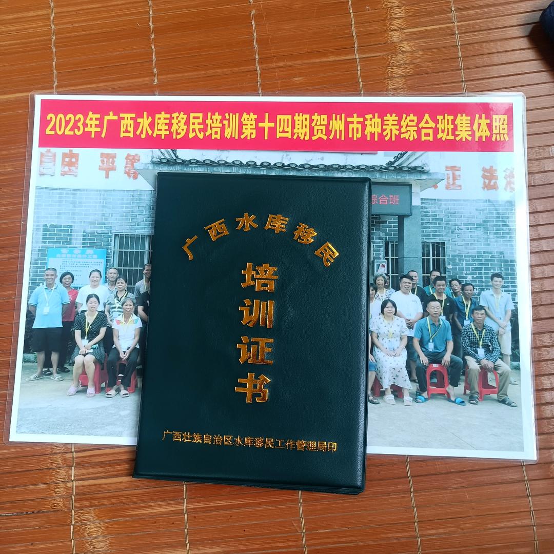 爱的守护