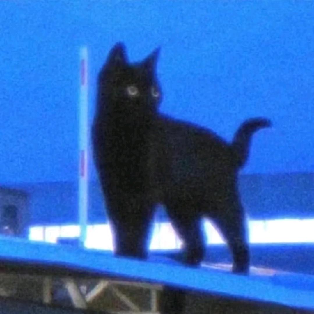 MERCURY