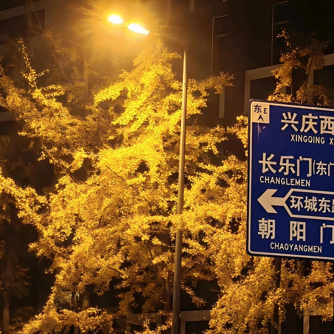 芜湖🚤