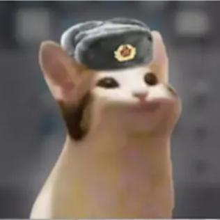 H₂O 7732-18-5 18.02_