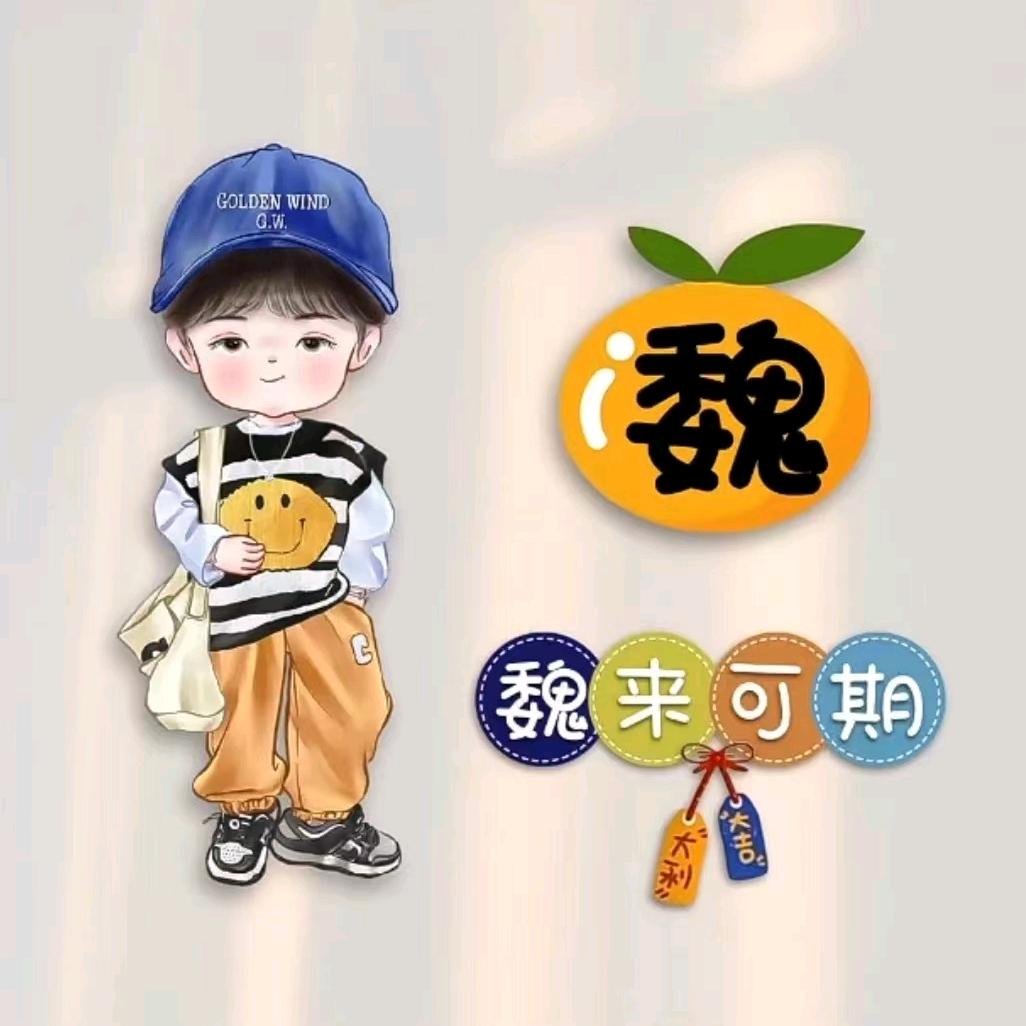 小魏（汽车座椅）