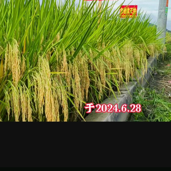 用户9163465351480 霖